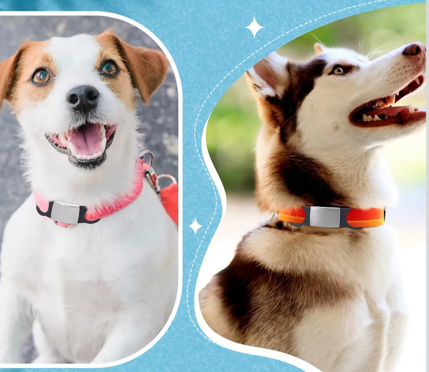 Personalized pet tag engraved.